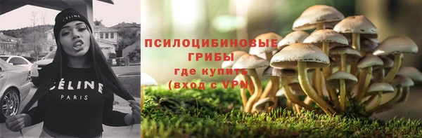 прущая мука Алзамай