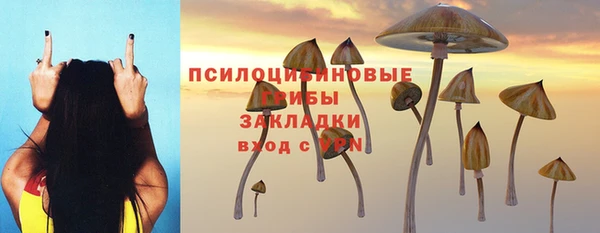 гидропоника Абдулино