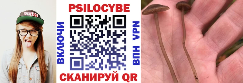Галлюциногенные грибы Psilocybine cubensis  гидра зеркало  Димитровград 