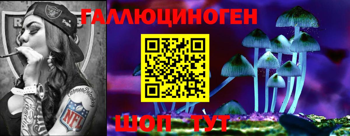 Галлюциногенные грибы MAGIC MUSHROOMS  Псилоцибиновые грибы MAGIC MUSHROOMS  Вход с VPN  Димитровград 